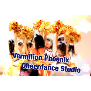Vermilion Phoenix Cheerdance Studioのイメージ図
