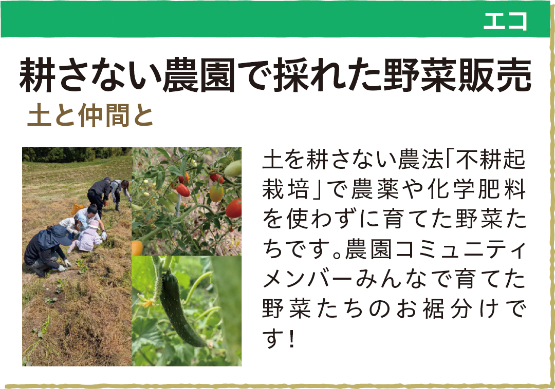 ワークショップ一覧